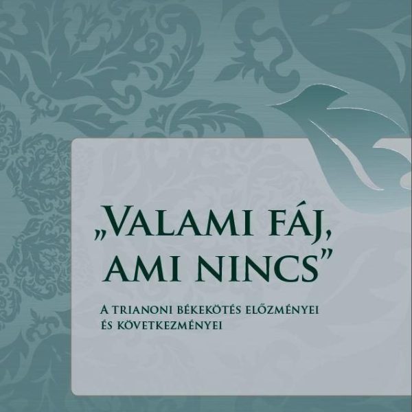 VALAMI FÁJ, AMI NINCS
