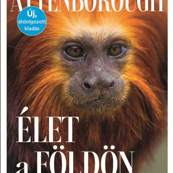 ÉLET A FÖLDÖN