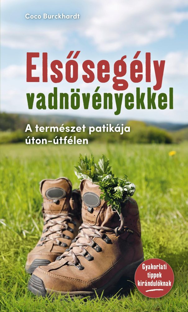 ELSŐSEGÉLY FRISS VADNÖVÉNYEKKEL - A TERMÉSZET PATIKÁJA ÚTON-ÚTFÉLEN