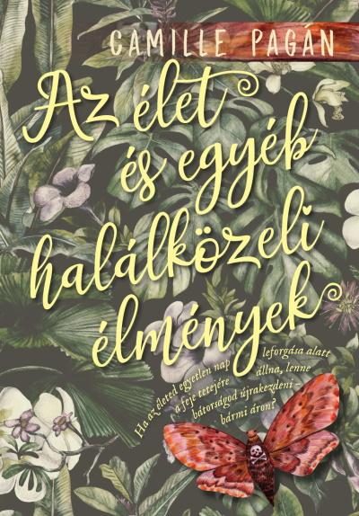 AZ ÉLET, ÉS EGYÉB HALÁLKÖZELI ÉLMÉNYEK