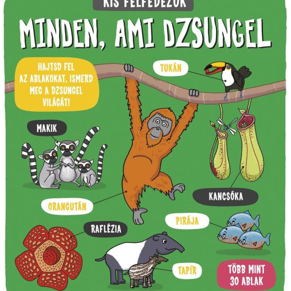 MINDEN, AMI DZSUNGEL - KIS FELFEDEZŐK
