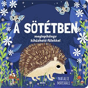 A SÖTÉTBEN - MEGLEPIKÖNYV KIHÚZHATÓ FÜLEKKEL