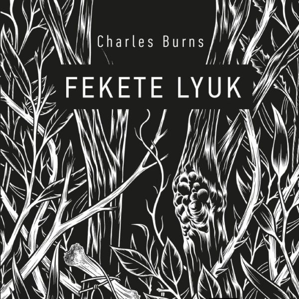 FEKETE LYUK (KÉPREGÉNY)