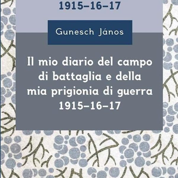 NAPLÓM A HARCTÉRRŐL ÉS A HADIFOGSÁGOMBÓL 1915-16-17