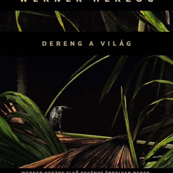 DERENG A VILÁG