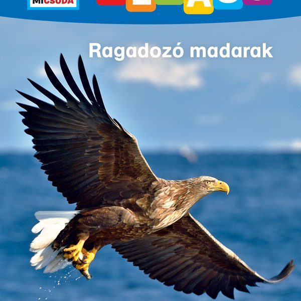 RAGADOZÓ MADARAK - MI MICSODA OLVASÓ