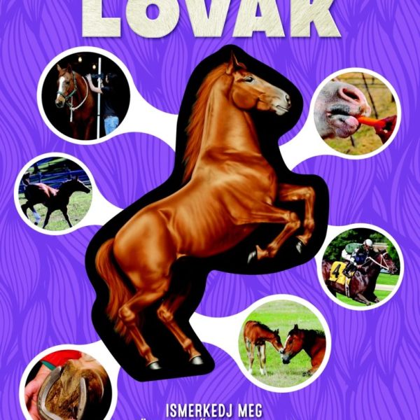 LOVAK - ISMERKEDJ MEG KÖZELEBBRŐL A LOVAKKAL!