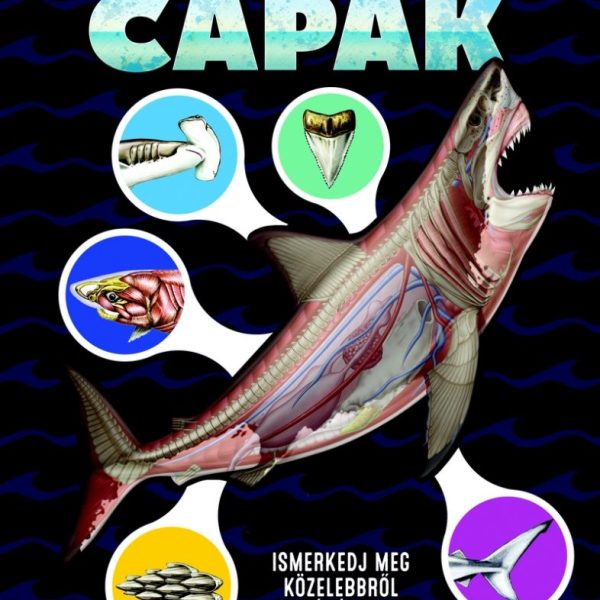 CÁPÁK - ISMERKEDJ MEG KÖZELEBBRŐL A CÁPÁKKAL!