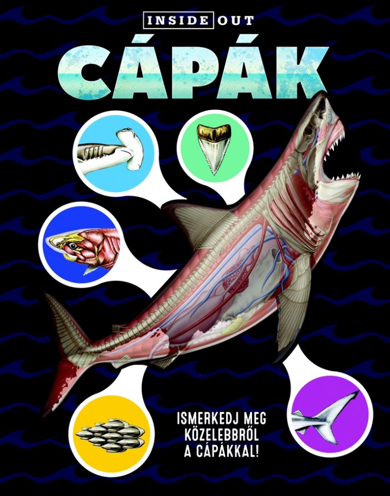 CÁPÁK - ISMERKEDJ MEG KÖZELEBBRŐL A CÁPÁKKAL!