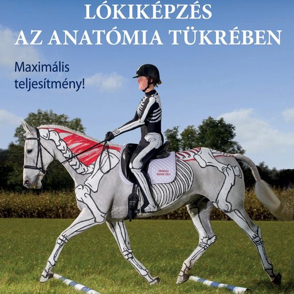 TESTRE SZABOTT LÓKIKÉPZÉS AZ ANATÓMIA TÜKRÉBEN - ÁTDOLGOZOTT KIADÁS
