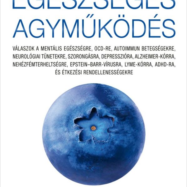 EGÉSZSÉGES AGYMŰKÖDÉS