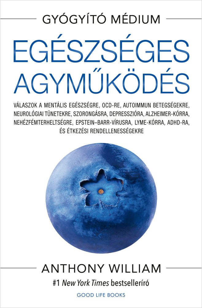 EGÉSZSÉGES AGYMŰKÖDÉS