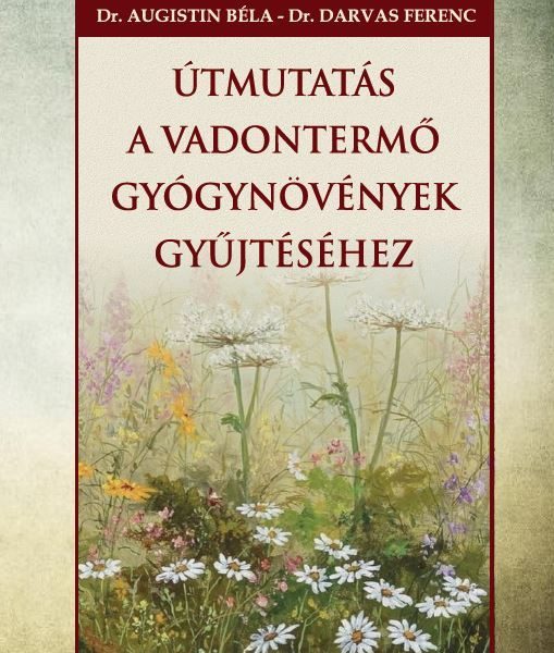 ÚTMUTATÁS A VADONTERMŐ GYÓGYNÖVÉNYEK GYŰJTÉSÉHEZ