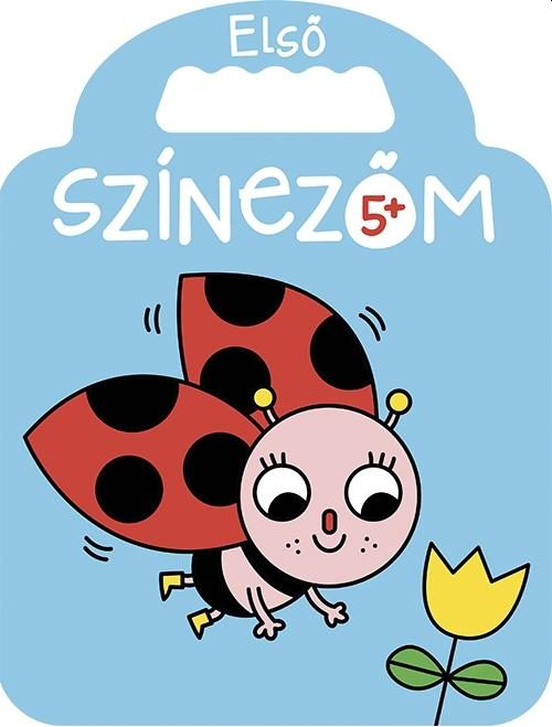 ELSŐ SZÍNEZŐM 5+