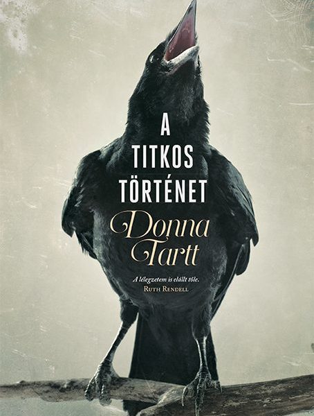 A TITKOS TÖRTÉNET - FŰZÖTT