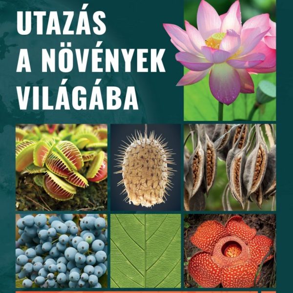UTAZÁS A NÖVÉNYEK VILÁGÁBA
