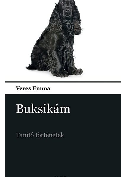 BUKSIKÁM - TANÍTÓ TÖRTÉNETEK