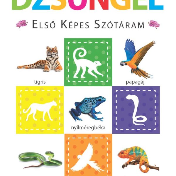 DZSUNGEL - ELSŐ KÉPES SZÓTÁRAM - SZIVACSKÖNYV