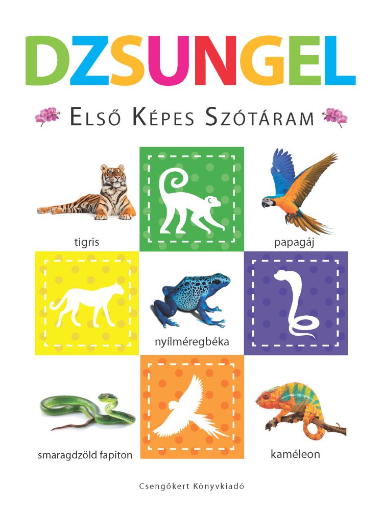 DZSUNGEL - ELSŐ KÉPES SZÓTÁRAM - SZIVACSKÖNYV