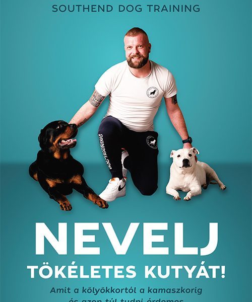 NEVELJ TÖKÉLETES KUTYÁT!