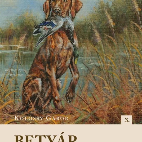 BETYÁR, A MAGYAR VIZSLA