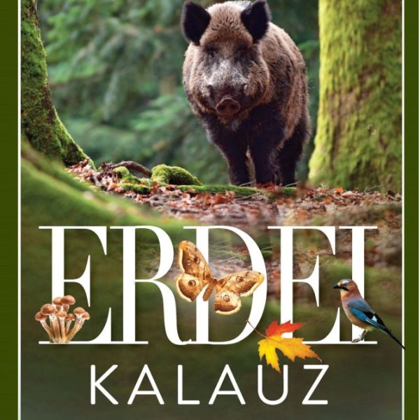 ERDEI KALAUZ- FŰZÖTT