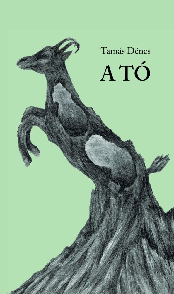 A TÓ