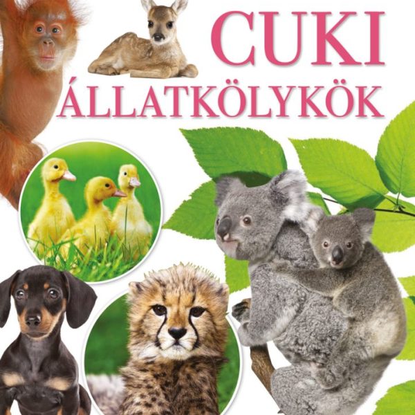 CUKI ÁLLATKÖLYKÖK
