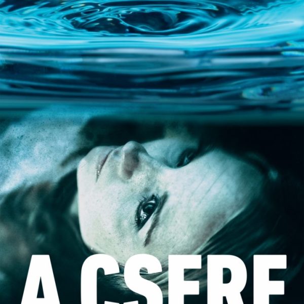 A CSERE
