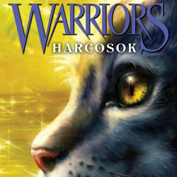 WARRIORS - HARCOSOK 1.3. - TITKOK ERDEJE