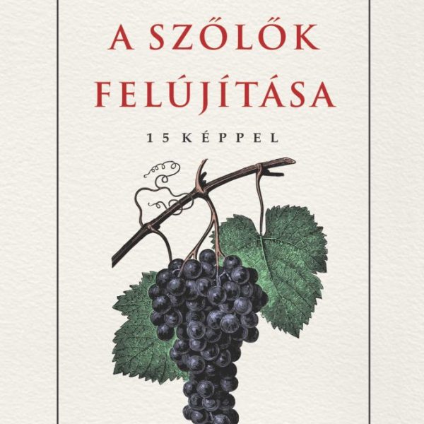 A SZŐLŐK FELÚJÍTÁSA