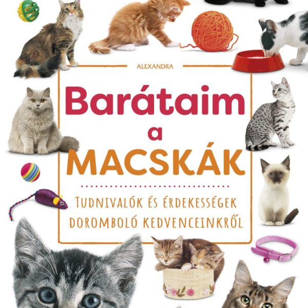 BARÁTAIM, A MACSKÁK