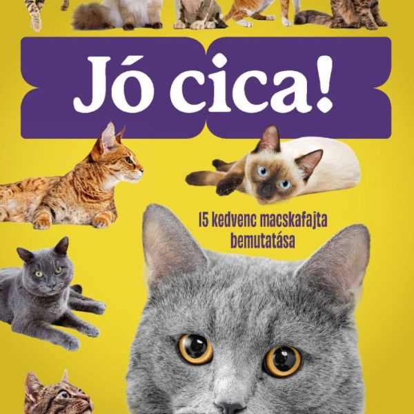 JÓ CICA - 15 KEDVENC MACSKAFAJTA BEMUTATÁSA