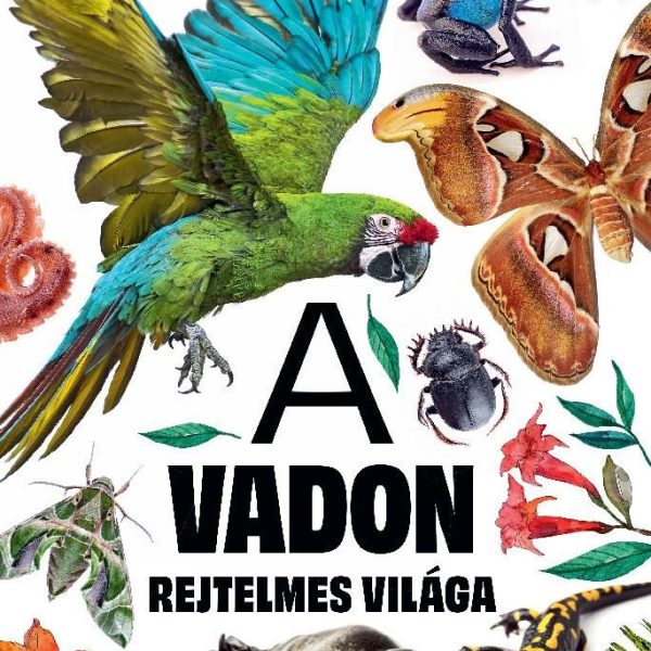 A VADON REJTELMES VILÁGA