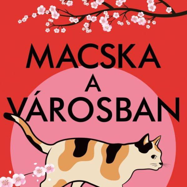 MACSKA A VÁROSBAN