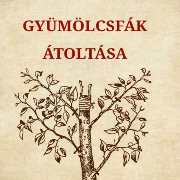 GYÜMÖLCSFÁK ÁTOLTÁSA