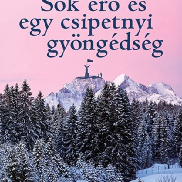 SOK ERŐ ÉS EGY CSIPETNYI GYÖNGÉDSÉG