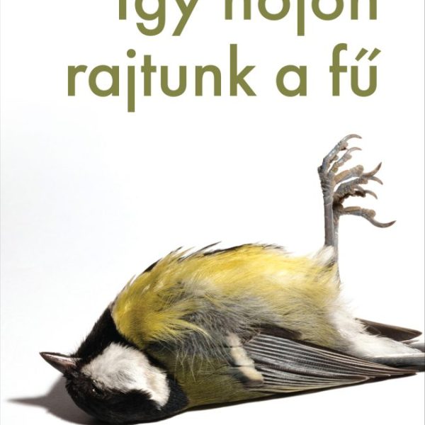 ÍGY NŐJÖN RAJTUNK A FŰ