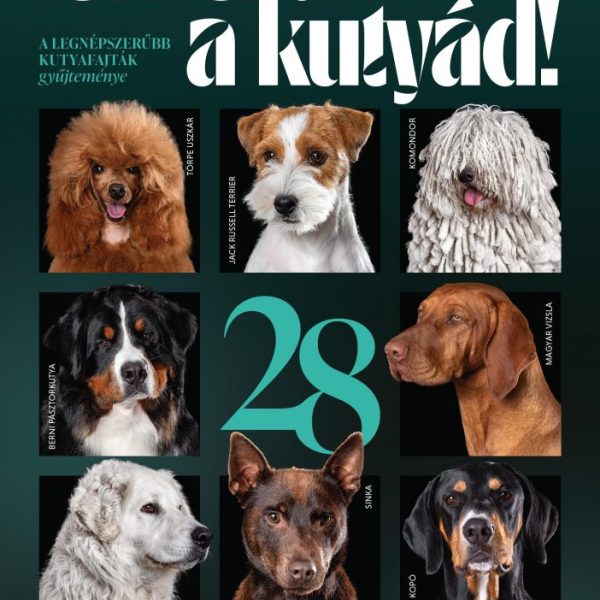 ISMERD A KUTYÁD! - A LEGNÉPSZERŰBB KUTYAFAJTÁK GYŰJTEMÉNYE
