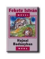HAJNAL BADÁNYBAN