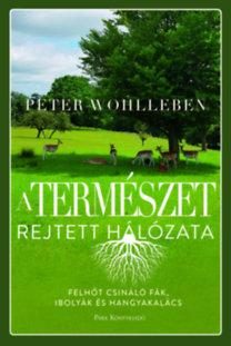 A TERMÉSZET REJTETT HÁLÓZATA - KÖTÖTT