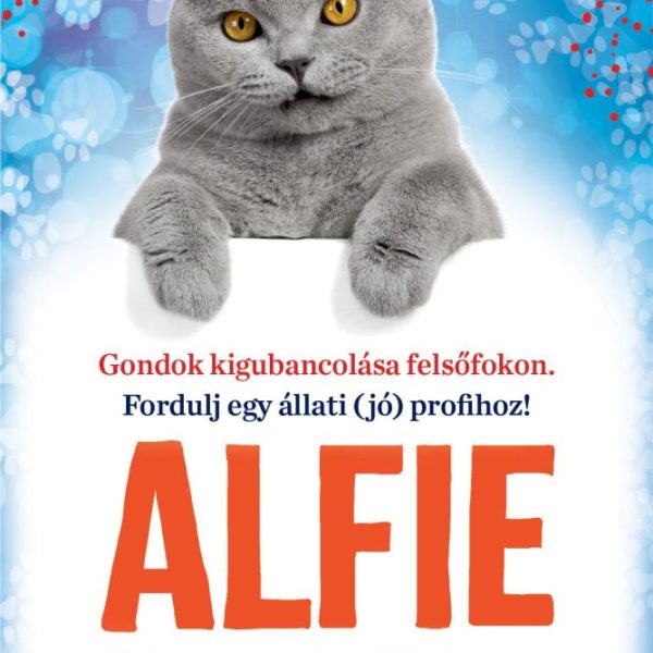 ALFIE ÚJ MUNKÁT KAP