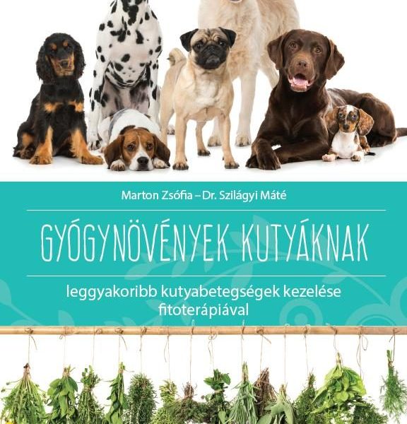 GYÓGYNÖVÉNYEK KUTYÁKNAK - LEGGYAKORIBB KUTYABETEGSÉGEK KEZELÉSE FITOTERÁPIÁVAL