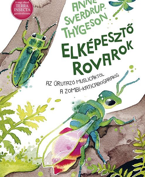 ELKÉPESZTŐ ROVAROK