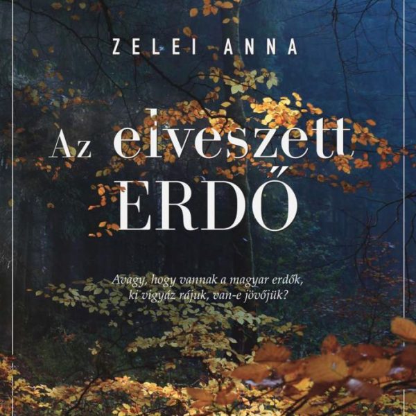 AZ ELVESZETT ERDŐ