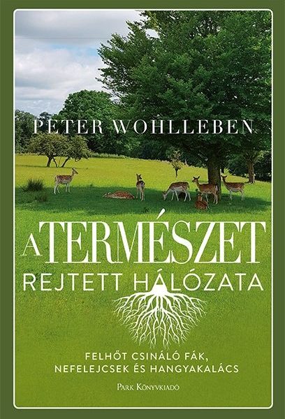 A TERMÉSZET REJTETT HÁLÓZATA - FŰZÖTT