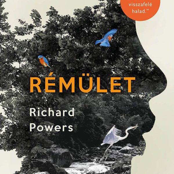 RÉMÜLET