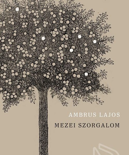 MEZEI SZORGALOM