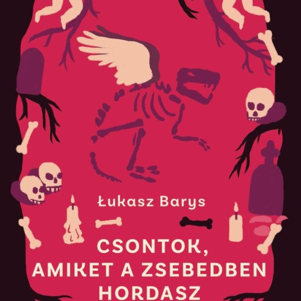 CSONTOK, AMIKET A ZSEBEDBEN HORDASZ