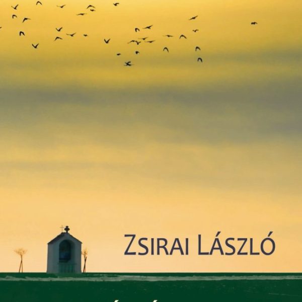 AGGÓDÁS NYARA - VÁLOGATOTT VERSEK, NOVELLÁK